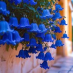 vibrant-blue-flowers vibrant-blue-flowers