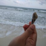 woman holding a shell
