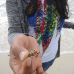 woman holding a small shell in hands