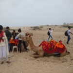 Deserts of Kutch Deserts of Kutch