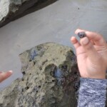 Hand Image