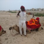 a man with his camel in the Rann of Kutch a man with his camel in the Rann of Kutch