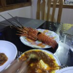Sea food - lobster fry
