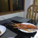 Tiger Lobster Fry on plate