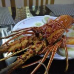 Tiger lobster