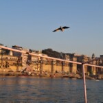 Banaras ghat
