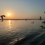 100+ Best Indian Tourism royalty-free images 8 calm river with sunset at Ganga Ghat