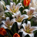 lily and tulip bunch lily and tulip bunch
