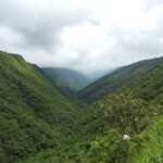 scenic green hills
