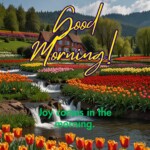 100+ Best Good Morning Blessings – Free Images, GIFs & Quotes Download 11 Good Morning Blessings