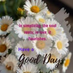 100+ Beautiful Inner Peace Quotes - Mental Peace Quotes 9 inner peace quotes