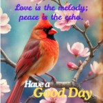 100+ Beautiful Inner Peace Quotes - Mental Peace Quotes 13 inner peace quotes