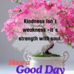 100+ Beautiful Inner Peace Quotes - Mental Peace Quotes 31 inner peace quotes