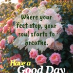 100+ Beautiful Inner Peace Quotes - Mental Peace Quotes 38 mental peace quotes