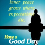 100+ Beautiful Inner Peace Quotes - Mental Peace Quotes 39 mental peace quotes