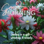 100+ Best Good Morning Blessings – Free Images, GIFs & Quotes Download 6 Good Morning Blessings