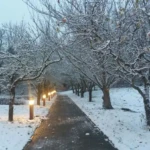 100+ Best Collection of Street Photos for Free Download 41 beautiful snowcapped road