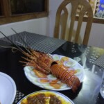 delicious sea cuisine