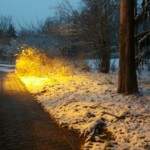 100+ Best Collection of Street Photos for Free Download 40 deserted roads