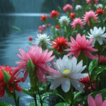 100+ Best Artistic Flower Background Images, Free Download 19 lakeside scene
