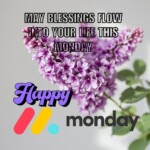 100+ Powerful Happy Monday Images, Blessings & Quotes 9 Happy Monday
