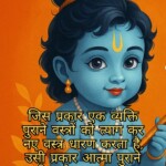 100+ Powerful Krishna Quotes, Images, Messages 104 Krishna Quotes