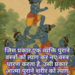 100+ Powerful Krishna Quotes, Images, Messages 121 Krishna Quotes