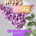 100+ Beautiful Happy Friday Messages & Images 15 happy friday