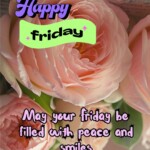 100+ Beautiful Happy Friday Messages & Images 7 happy friday